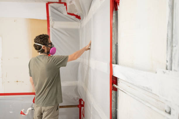 Biohazard Mold Removal in Naco, AZ